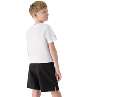 Komplektas 4F M085 Jr 4FJWAW25TAPSM085 20S