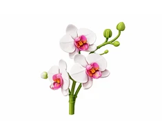 Konstruktorius gėlė „Orchidėja