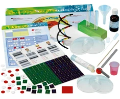KOSMOS STEM eksperimentinis rinkinys GENETIKA IR DNR 2.0