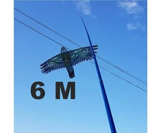 Kotas 6M Aitvarui