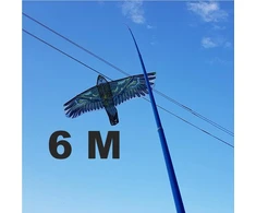 Kotas 6M Aitvarui