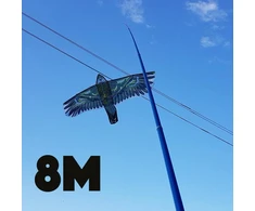 Kotas 8M aitvarui