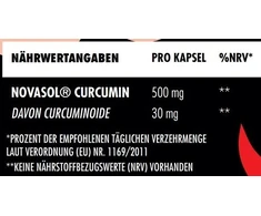 Kurkumino kapsulės Big Zone NovaSol® 90 vnt