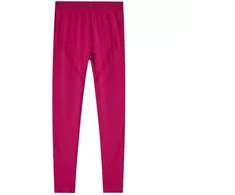 Leggings 4F FNK W 4FRAW24TFTIF389 60S