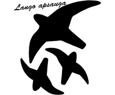 Lipdukas Apsaugai Nuo Paukščių Atsitrenkimo Į Langus