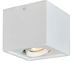 Lubinis šviestuvas ARION, GU10, baltas, 4260900