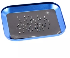 Magnetinė lėkštutė