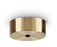 Pakabinamas šviestuvas Ideal Lux rosone magnetico 1 luce ottone brunito
