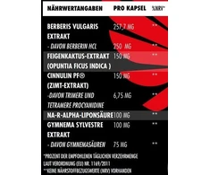 Maisto papildas kapsulėmis Big Zone Invictus G.D.A 90 kapsulių