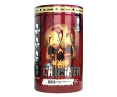 Maisto papildas sportui su vaisių skoniu 10x17,5 g – Skull Labs
