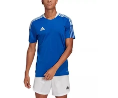 Marškinėliai adidas TIRO 21 TR JSY M GM7589