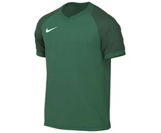 Marškinėliai Nike Dri-FIT Trophy VI HV8151-302