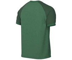 Marškinėliai Nike Dri-FIT Trophy VI HV8151-302