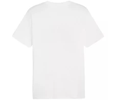 Marškinėliai Puma Graphics Summer Sports Tee II M 627909 02