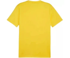 Marškinėliai Puma Team Goal Casuals Tee M 658615 07