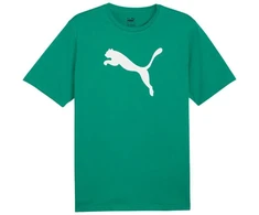 Marškinėliai Puma Team Rise Logo Jersey Cotton M 658705 05