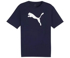 Marškinėliai Puma Team Rise Logo Jersey Cotton M 658705 06