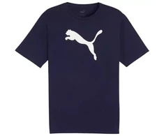 Marškinėliai Puma Team Rise Logo Jersey Cotton M 658705 06