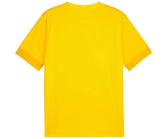 Marškinėliai Puma teamGoal Matchday Jersey M 705747 07