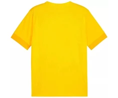 Marškinėliai Puma teamGoal Matchday Jersey M 705747 07