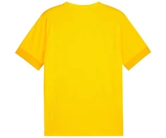 Marškinėliai Puma teamGoal Matchday Jersey M 705747 07