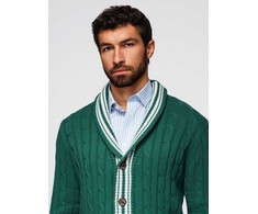 Megztinis su šaliu apykakle preppy stiliaus žalias – šilumai ir išskirtinumui rudens dienoms.