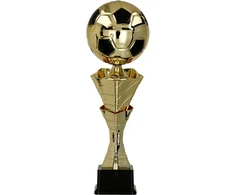Metalinė taurė - futbolas
