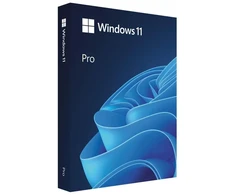 Microsoft Windows 11 PRO PL 64 bitų Dėžutė USB