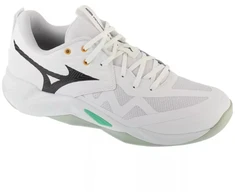 Mizuno Wave Momentum Pro V1GA254021 Balti 41