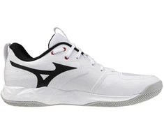 Mizuno WAVE MOMENTUM PRO V1GA254059 batai