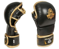 MMA ringtynių pirštinės M - Aureos - Valor Series