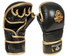 BUSHIDO MMA ringtynių pirštinės M - Aureos - Valor Series