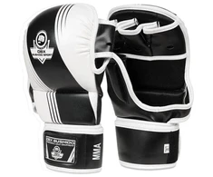 MMA treniruočių pirštinės S/M - Edge - Valor serija