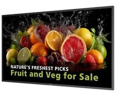 Monitorius PHILIPS 43" UHD 24/7 600 NITS ANDROID SOC WIFI