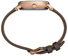 Moteriškas laikrodis TIMEX CELESTIAL OPULENCE TW2T87700 (zt672b)