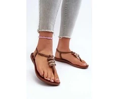 Moteriškos basutės šlepetės 83507 Ipanema Class Blown Up Sandal Fem Brown