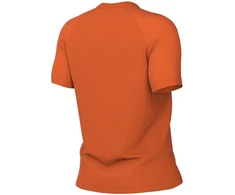 Moterų marškinėliai Nike Dri-Fit Park VIII, oranžiniai, HV8178 819