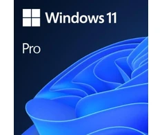 MS Windows 11 Professional 64 bitų Anglų kalba 1 vnt. DVD OEM