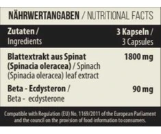 MST - Beta Ecdysterone 120 Kapseln