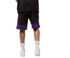 New Era NBA Spalvų Blokų Šortai Lakers M 60416375