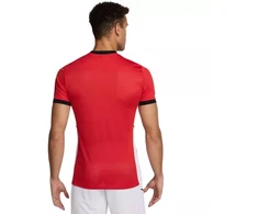 Nike Academy 25 SS Top M FZ9754 657