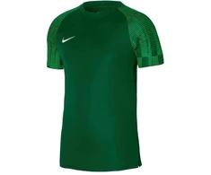 Nike Academy Jaunes T-marškiniai DH8369 302