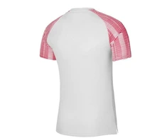 Nike Academy Jaunių Džersis DH8369-100