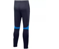 Nike Academy Pro Pant Youth Jr DH9325 451
