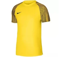 Nike Df Academy Jsy SS Jr Marškinėliai DH8369 719