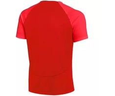 Nike DF Academy Pr Ss Top K Jr DH9277 657