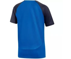 Nike DF Academy Pro SS Top K Jr DH9277 463