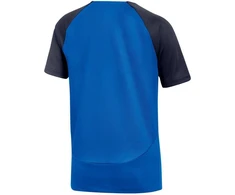 Nike DF Academy Pro SS Top K Jr DH9277 463
