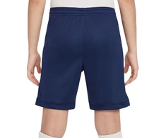 Nike Dri Fit Academy 25 Jr šortai FZ9784 410