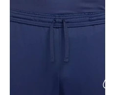 Nike Dri-Fit Academy 25 M Kelnės FZ9805 410
